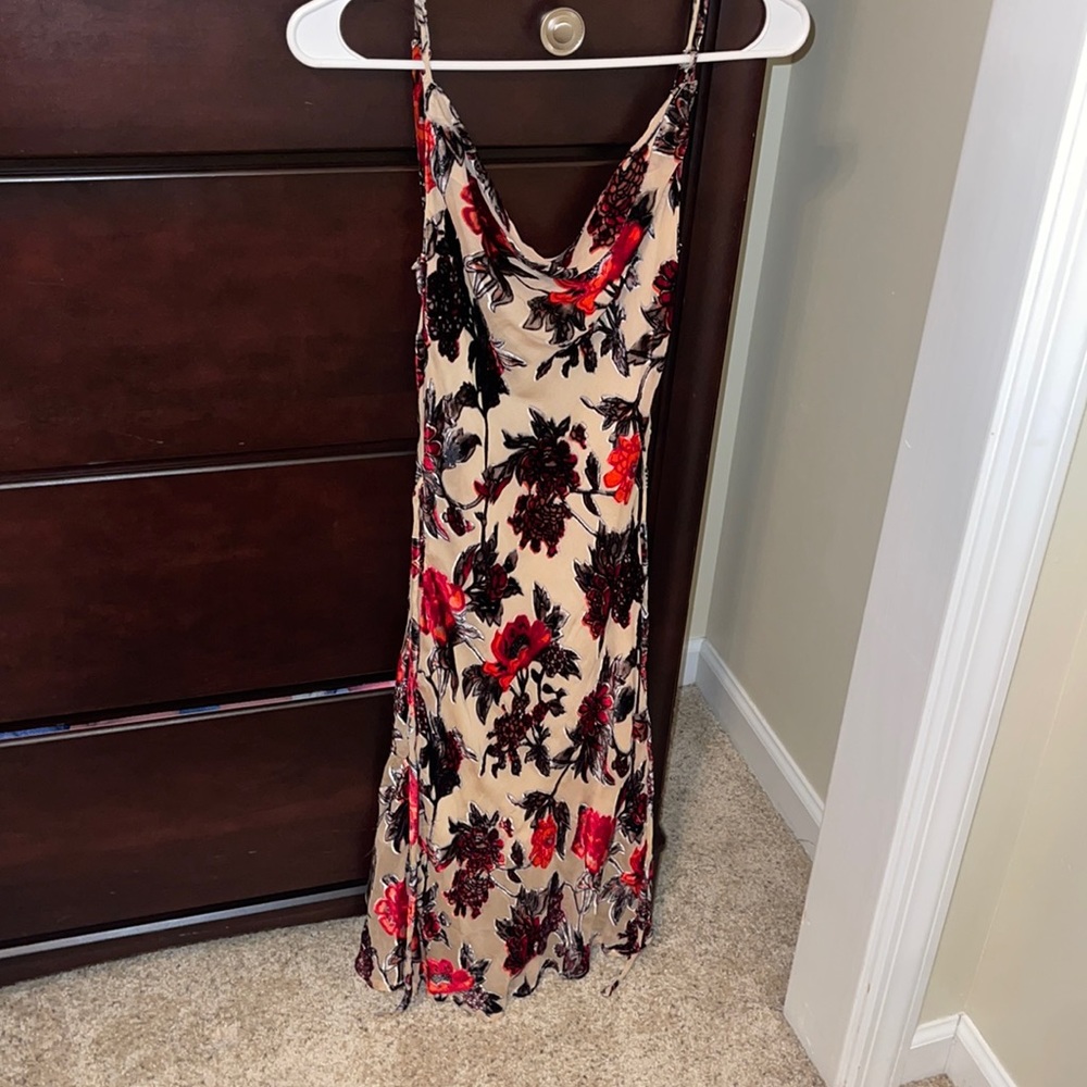 Rat and Boa Cerretti velvet dress